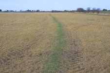 _7810020.jpg _7810020.jpg