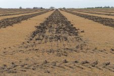 _7810279.jpg _7810279.jpg