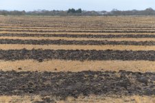 _7810277.jpg _7810277.jpg