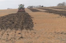 _7810273.jpg _7810273.jpg