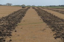 _7810244.jpg _7810244.jpg