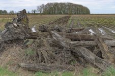 _7810264.jpg _7810264.jpg