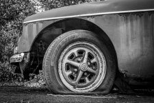 20230308-FXT44796.jpg 20230308-FXT44796.jpg