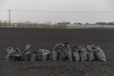 _7810379.jpg _7810379.jpg