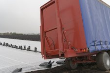 _7810376.jpg _7810376.jpg