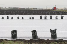 _7810373.jpg _7810373.jpg