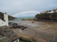 P3110111_edited.jpeg P3110111_edited.jpeg