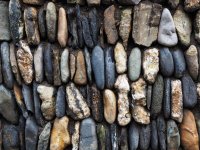 P3110095_edited.jpeg P3110095_edited.jpeg