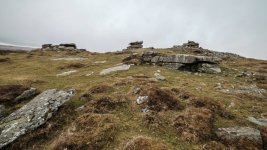 025 Corndon Tor 03-1491 PS Adj.JPG