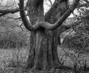 March - Symmetrical.jpg