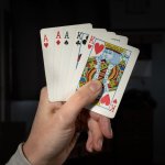 20230313-FXT44868.jpg 20230313-FXT44868.jpg