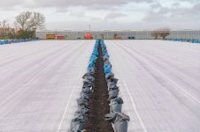 _7810512.jpg _7810512.jpg