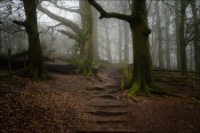 7A10B501-6728-433F-A563-DA17A3112480.jpeg 7A10B501-6728-433F-A563-DA17A3112480.jpeg