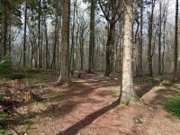 IMG_20230322_145826.jpg IMG_20230322_145826.jpg