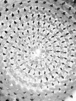 F49A473C-27E8-48D8-9C95-18E3A3761325.jpeg F49A473C-27E8-48D8-9C95-18E3A3761325.jpeg