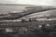 86CD86DF-A965-429D-9FB6-13EE4CFE6287.jpeg 86CD86DF-A965-429D-9FB6-13EE4CFE6287.jpeg