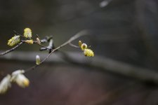 DSC_5506.jpg DSC_5506.jpg