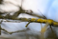 DSC_5605.jpg DSC_5605.jpg