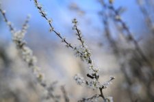 DSC_5649.jpg DSC_5649.jpg