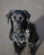 DSC_5725.jpg DSC_5725.jpg