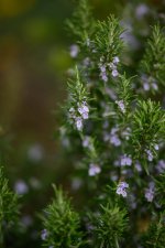 DSC_5767.jpg DSC_5767.jpg