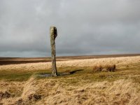 012 Drizzlecombe Stone Row (Menhir) 03-0392 PS Adj.JPG