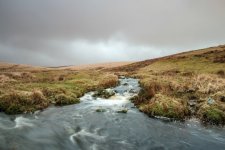 019 Plym Steps 02-0412 PS Adj.JPG