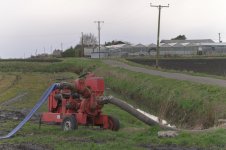 _7810581.jpg _7810581.jpg