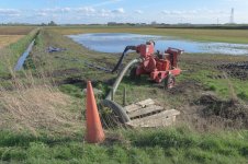 _7810623.jpg _7810623.jpg