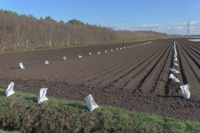 _7810622.jpg _7810622.jpg