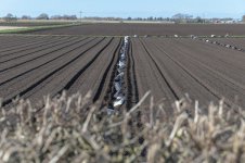 _7810619.jpg _7810619.jpg