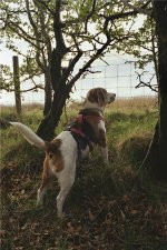 E2F2434E-243B-4F1B-BDFE-7692A0901FB9.jpeg E2F2434E-243B-4F1B-BDFE-7692A0901FB9.jpeg