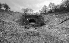 Re sized Forum Tunnel 1.jpeg