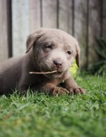 AE920363-B2EF-4621-B73F-3F7E299C9B6F.jpeg AE920363-B2EF-4621-B73F-3F7E299C9B6F.jpeg