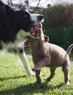 03030859-5725-4BFE-BA7F-E114A4672BF3.jpeg 03030859-5725-4BFE-BA7F-E114A4672BF3.jpeg