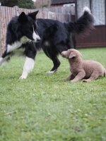 DEE3BB9C-B3E8-440C-BBDD-D94BDA983003.jpeg DEE3BB9C-B3E8-440C-BBDD-D94BDA983003.jpeg