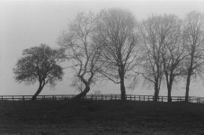 Fence in the Fog.JPG Fence in the Fog.JPG