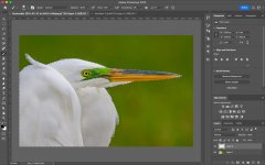 Untitled-2.jpg Untitled-2.jpg