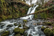 009 Venford Falls 01-0453 PS Adj.JPG