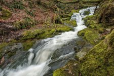013 Venford Brook Downstream Rapids 02-0470 PS Adj.JPG