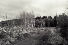 IMG_2023-4-2-180138.jpeg IMG_2023-4-2-180138.jpeg