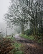 38F48391-4EE9-4569-BC1D-E18ABCDEB7A7.jpeg 38F48391-4EE9-4569-BC1D-E18ABCDEB7A7.jpeg