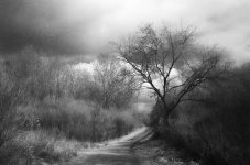 2023-04-04-konica750-eos30-08.jpg 2023-04-04-konica750-eos30-08.jpg