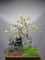 Photo Background El Shek.jpg Photo Background El Shek.jpg