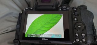 20230406_130614.jpg 20230406_130614.jpg