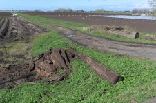 _7810684.jpg _7810684.jpg