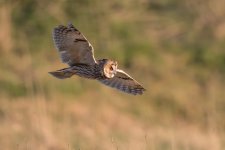 LEO 1024.jpg LEO 1024.jpg