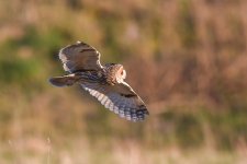 cropped 1024.jpg cropped 1024.jpg