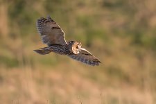 Phil-D,-edited-LEO-1024.jpg Phil-D,-edited-LEO-1024.jpg