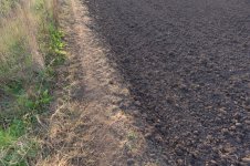 _7810688.jpg _7810688.jpg